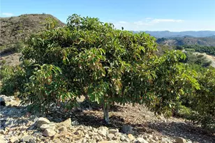 3 Via Vaquero, Temecula, CA 92590 - Photo 16