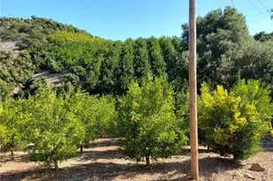 3 Via Vaquero, Temecula, CA 92590 - Photo 36