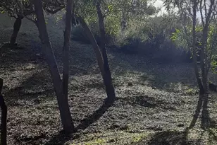 22065 Woodcreek Ln, Wildomar, CA 92595 - Photo 34