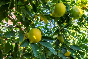 10022 Chula Vista Way, Riverside, CA 92503 - Photo 28