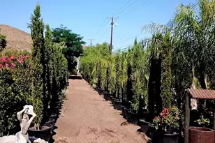 21131 Ellis, Perris, CA 92570 - Photo 4