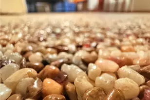 6380 N 5th St, Fresno, CA 93710 - Photo 4