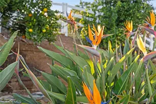 40055 Valle Vista, Murrieta, CA 92562 - Photo 56