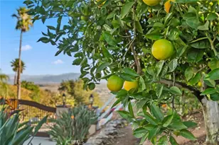 40055 Valle Vista, Murrieta, CA 92562 - Photo 56