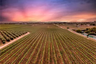 40125 Camino Del Vino, Temecula, CA 92592 - Photo 2