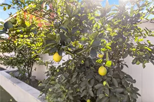 36696 Pavic Ct, Lake Elsinore, CA 92532 - Photo 44