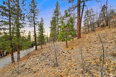 1237 Ridge Road, Fawnskin, CA 92333 - Photo 8