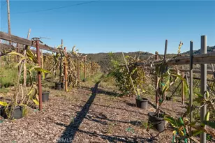 40390 Ross Rd, Fallbrook, CA 92028 - Photo 20