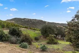 29165 Ridgeline Ct, Temecula, CA 92590 - Photo 66