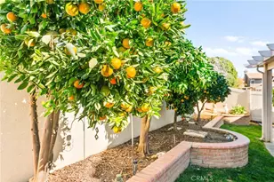 6055 Spanish Trail Cove, Banning, CA 92220 - Photo 48