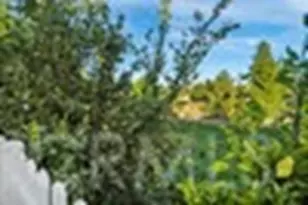 30698 Long Point, Canyon Lake, CA 92587 - Photo 48