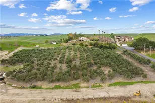 41309 Avenida Biona, Temecula, CA 92591 - Photo 42