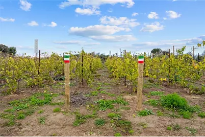 41309 Avenida Biona, Temecula, CA 92591 - Photo 34