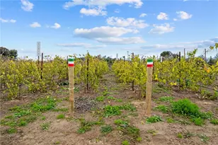 41309 Avenida Biona, Temecula, CA 92591 - Photo 34