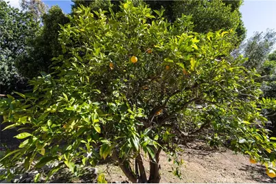 2248 Mil Sorpresas, Fallbrook, CA 92028 - Photo 30