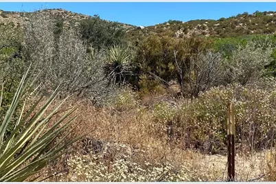 63151 Table Mountain Truck, Anza, CA 92539 - Photo 12