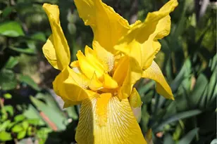 57745 Bailey, Anza, CA 92539 - Photo 52