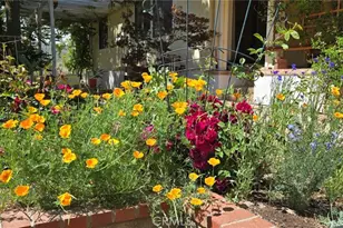 57745 Bailey, Anza, CA 92539 - Photo 58