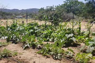 57745 Bailey, Anza, CA 92539 - Photo 60