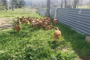 57745 Bailey, Anza, CA 92539 - Photo 44