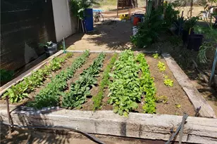 57745 Bailey, Anza, CA 92539 - Photo 56