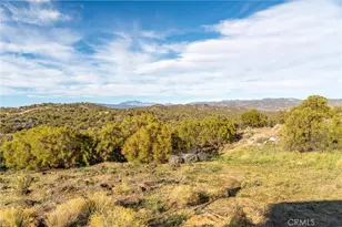 59940 Rim Rock, Anza, CA 92539 - Photo 50