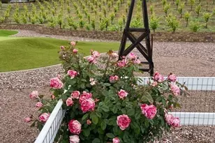 41570 Avenida Bordeaux, Temecula, CA 92592 - Photo 68