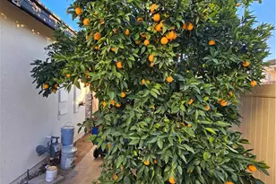 27886 Starfall Way, Murrieta, CA 92563 - Photo 42