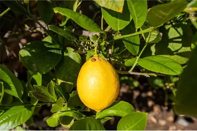 29217 Desert Hills Road, Menifee, CA 92586 - Photo 42