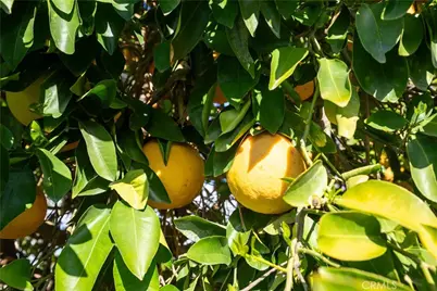 29217 Desert Hills Road, Menifee, CA 92586 - Photo 40