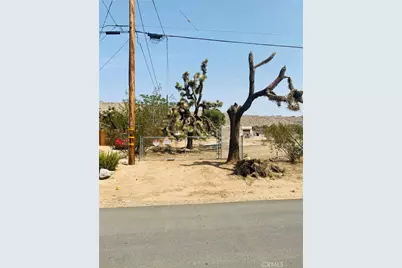 56650 Antelope Trail, Yucca Valley, CA 92284 - Photo 4