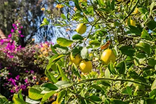 30006 Corte Cantera, Temecula, CA 92591 - Photo 46