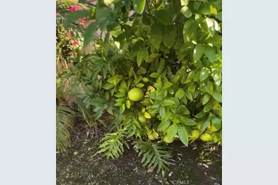 3230 E Drycreek, West Covina, CA 91791 - Photo 46