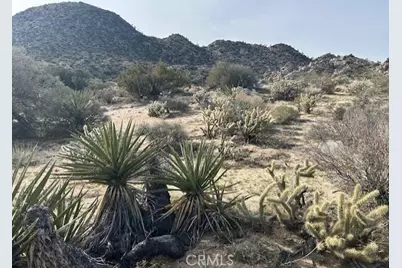 0 Hwy 74, Mountain Center, CA 92561 - Photo 8