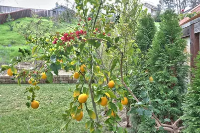 45303 Esmerado Court, Temecula, CA 92592 - Photo 40