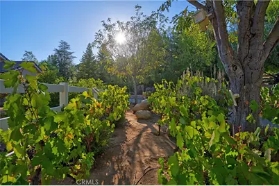 19315 Avenida Cordoba, Murrieta, CA 92562 - Photo 14