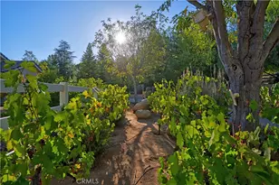 19315 Avenida Cordoba, Murrieta, CA 92562 - Photo 14