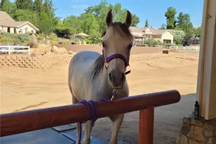 19315 Avenida Cordoba, Murrieta, CA 92562 - Photo 64