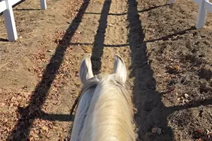 19315 Avenida Cordoba, Murrieta, CA 92562 - Photo 6