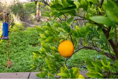 27570 Fern Pine Way, Murrieta, CA 92562 - Photo 52