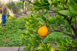 27570 Fern Pine Way, Murrieta, CA 92562 - Photo 52