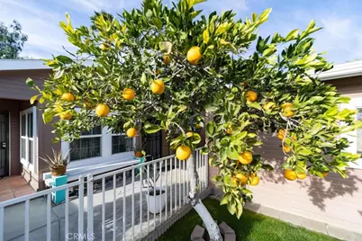 35493 Sand Rock Road, Thousand Palms, CA 92276 - Photo 40