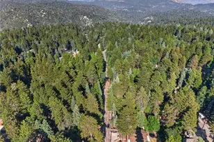 31351 Firwood Dr, Running Springs, CA 92382 - Photo 40