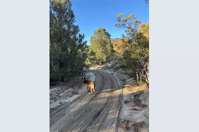 0 Upper Valley Road, Anza, CA 92539 - Photo 6