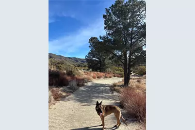 0 Upper Valley Road, Anza, CA 92539 - Photo 14