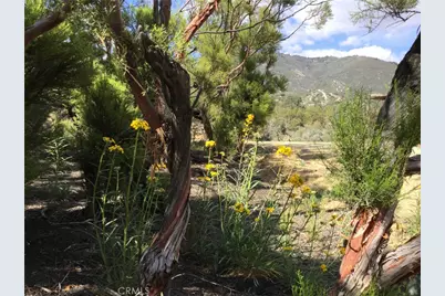 0 Upper Valley Road, Anza, CA 92539 - Photo 36