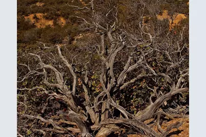 0 Upper Valley Road, Anza, CA 92539 - Photo 38