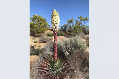 0 Upper Valley Road, Anza, CA 92539 - Photo 24