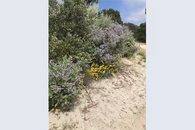 0 Upper Valley Road, Anza, CA 92539 - Photo 22