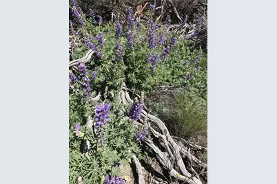 0 Upper Valley Road, Anza, CA 92539 - Photo 32